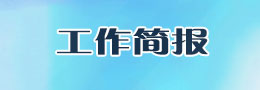 工作簡(jiǎn)報